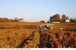 Mehr über den Artikel erfahren Bordeaux Normal