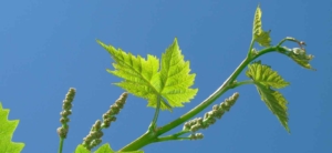 Mehr über den Artikel erfahren Ab in den Frühling