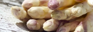 Mehr über den Artikel erfahren Apropos Spargel