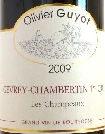 Gevrey-Chambertin 1er Cru „Les Champeaux“ von Domaine Olivier Guyot