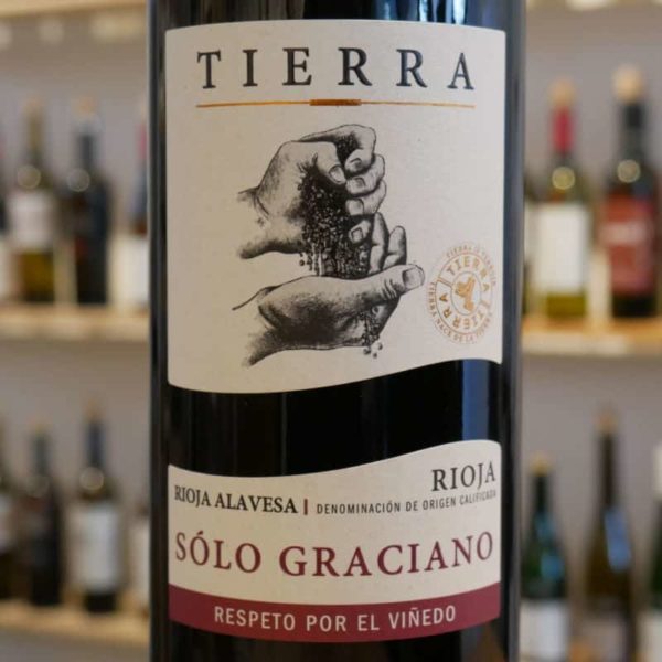 Solo Graciano von Tierra Agricola Labastida