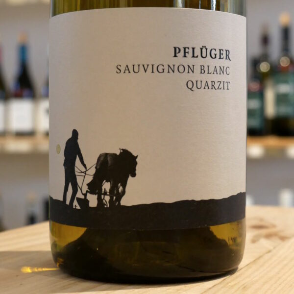 Sauvignon Blanc Quarzit von Weingut Pflüger