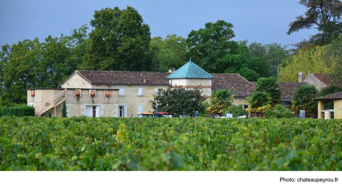 Das Weingut Château Peyrou